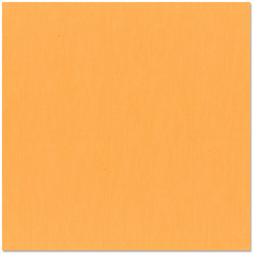 Bazzill Basics - 12 x 12 Cardstock - Canvas Texture - Apricot