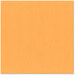 Bazzill Basics - 12 x 12 Cardstock - Canvas Texture - Apricot