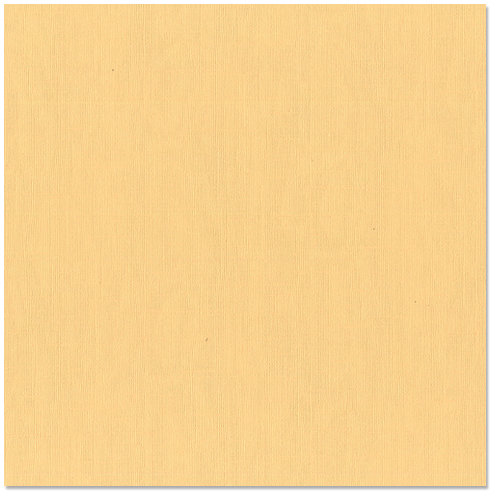 Bazzill Basics - 12 x 12 Cardstock - Canvas Texture - Harvest, CLEARANCE