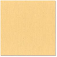 Bazzill Basics - 12 x 12 Cardstock - Canvas Texture - Harvest, CLEARANCE