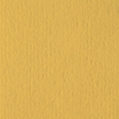 Bazzill Basics - 12 x 12 Cardstock - Orange Peel Texture - Honeycomb