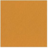 Bazzill Basics - 12 x 12 Cardstock - Canvas Texture - Buttercup, CLEARANCE