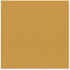 Bazzill Basics - 12 x 12 Cardstock - Orange Peel Texture - Rusted