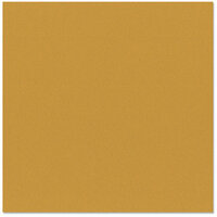 Bazzill Basics - 12 x 12 Cardstock - Orange Peel Texture - Rusted
