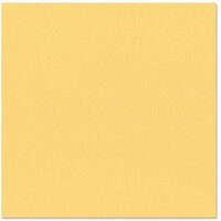 Bazzill Basics - 12 x 12 Cardstock - Orange Peel Texture - Lemonade, CLEARANCE