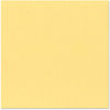 Bazzill Basics - 12 x 12 Cardstock - Orange Peel Texture - Daisy