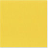 Bazzill Basics - 12 x 12 Cardstock - Canvas Texture - Stockholm, CLEARANCE