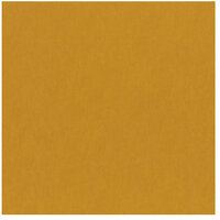 Bazzill Basics - 12 x 12 Cardstock - Canvas Texture - Johannesburg, CLEARANCE