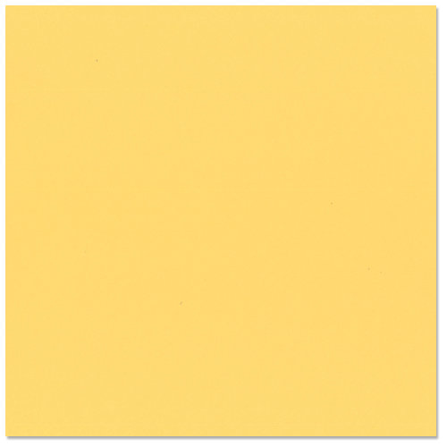 Bazzill Basics - 12 x 12 Cardstock - Classic Texture - Sunflower
