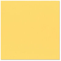 Bazzill Basics - 12 x 12 Cardstock - Classic Texture - Sunflower