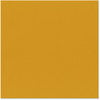 Bazzill Basics - 12 x 12 Cardstock - Canvas Texture - Amber