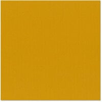 Bazzill Basics - 12 x 12 Cardstock - Canvas Texture - Amber