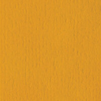 Bazzill Basics - 12 x 12 Cardstock - Orange Peel Texture - Butterscotch