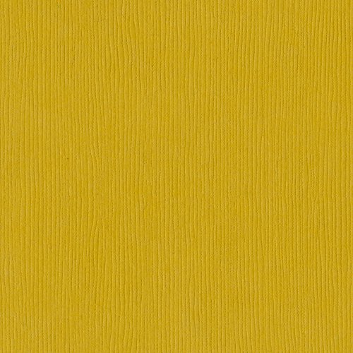 Bazzill Basics - 12 x 12 Cardstock - Grasscloth Texture - Amber