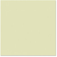 Bazzill Basics - 12 x 12 Cardstock - Canvas Texture - Aloe Vera