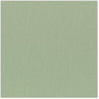 Bazzill - 12 x 12 Cardstock - Canvas Texture - Moss