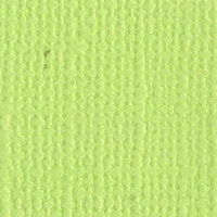 Bazzill Basics - Bulk Cardstock Pack - 25 Sheets - 12x12 - Limeade, CLEARANCE