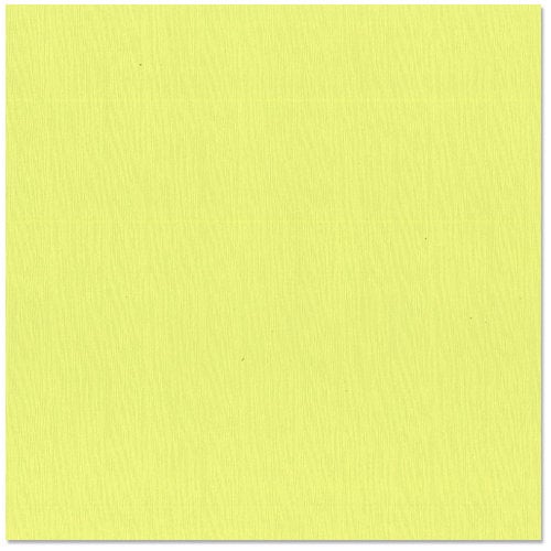 Bazzill Basics - 12 x 12 Cardstock - Canvas Texture - Limeade