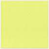 Bazzill Basics - 12 x 12 Cardstock - Canvas Texture - Limeade