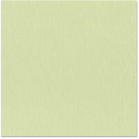 Bazzill Basics - 12 x 12 Cardstock - Grasscloth Texture - Spring Breeze