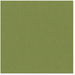 Bazzill Basics - 12 x 12 Cardstock - Grasscloth Texture - Guacamole