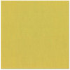 Bazzill - 12 x 12 Cardstock - Canvas Texture - Lizard