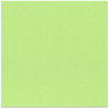Bazzill Basics - 12 x 12 Cardstock - Burlap Texture - Lime Sherbet