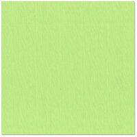 Bazzill Basics - 12 x 12 Cardstock - Burlap Texture - Lime Sherbet