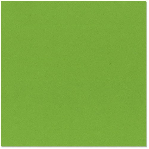 Bazzill Basics - 12 x 12 Cardstock - Smoothies - Smooth Texture - Lime Crush