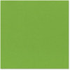 Bazzill Basics - 12 x 12 Cardstock - Smooth Texture - Lime Crush
