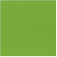 Bazzill Basics - 12 x 12 Cardstock - Smoothies - Smooth Texture - Lime Crush