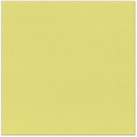 Bazzill Basics - 12 x 12 Cardstock - Orange Peel Texture - Green Tea
