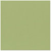 Bazzill Basics - 12 x 12 Cardstock - Orange Peel Texture - Canteen, CLEARANCE