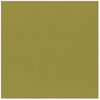 Bazzill Basics - 12 x 12 Cardstock - Orange Peel Texture - Olive