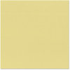 Bazzill Basics - 12 x 12 Cardstock - Orange Peel Texture - Fresh, CLEARANCE