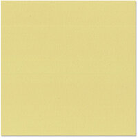 Bazzill Basics - 12 x 12 Cardstock - Orange Peel Texture - Fresh, CLEARANCE