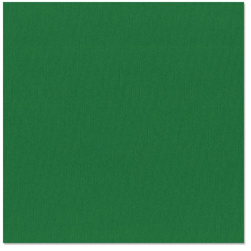 Bazzill Basics - 12 x 12 Cardstock - Canvas Texture - Green