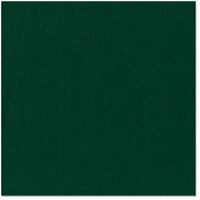 Bazzill Basics - 12 x 12 Cardstock - Canvas Texture - Jade