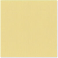 Bazzill Basics - 12 x 12 Cardstock - Canvas Texture - Bamboo
