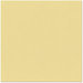 Bazzill Basics - 12 x 12 Cardstock - Canvas Texture - Bamboo