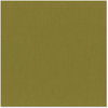 Bazzill Basics - 12 x 12 Cardstock - Canvas Texture - Gecko, CLEARANCE