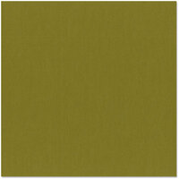 Bazzill Basics - 12 x 12 Cardstock - Canvas Texture - Gecko, CLEARANCE