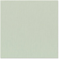 Bazzill Basics - 12 x 12 Cardstock - Canvas Texture - Hazel, CLEARANCE