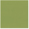 Bazzill - 12 x 12 Cardstock - Canvas Texture - Leapfrog