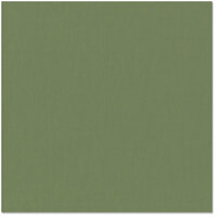 Bazzill - 12 x 12 Cardstock - Canvas Texture - Fern