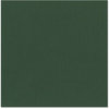 Bazzill Basics - 12 x 12 Cardstock - Canvas Texture - Aspen