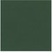 Bazzill Basics - 12 x 12 Cardstock - Canvas Texture - Mono - Aspen