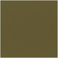 Bazzill - 12 x 12 Cardstock - Classic Texture - Olive