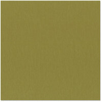 Bazzill Basics - 12 x 12 Cardstock - Grasscloth Texture - Safari