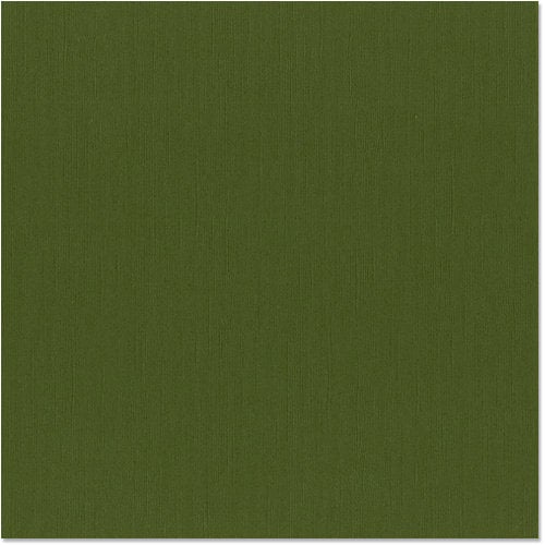 Bazzill Basics - 12 x 12 Cardstock - Canvas Texture - Mono - Ivy